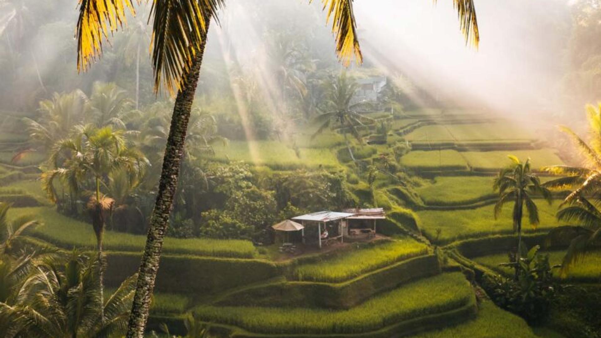 Bali 4 Nights And 5 Days