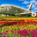 Dubai 5 Night and 6 Day