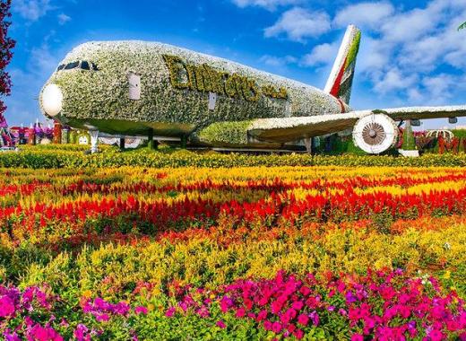 Dubai 5 Night and 6 Day